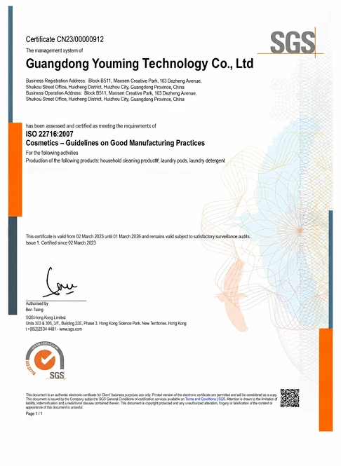 ISO 22716.png ISO 22716.png